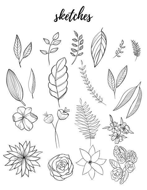 Free Botanical Drawings For Bullet Journaling Liz Kohler Brown