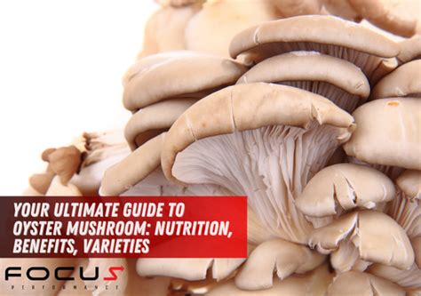 Your Ultimate Guide to Oyster Mushroom: Nutrition, Benefits, Varieties ...