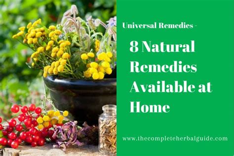 8 Natural Remedies Available At Home The Complete Herbal Guide