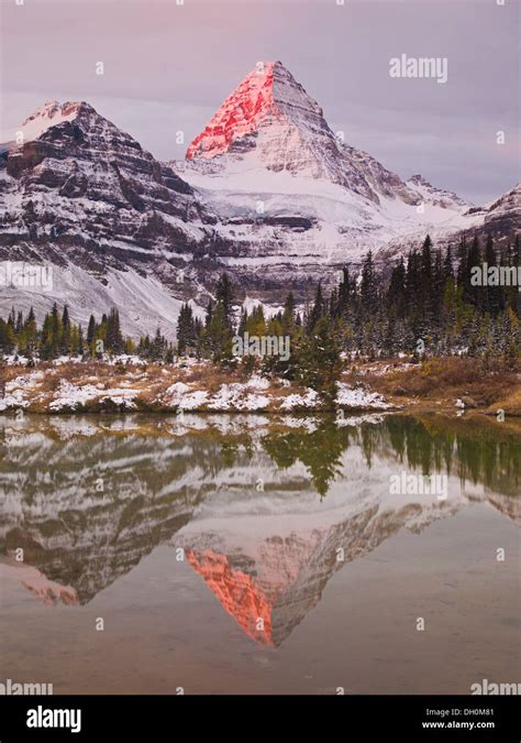 Sunrise On Mount Assiniboine Photograph Taken In The Fall When The