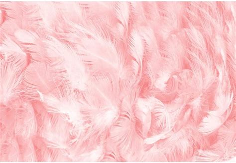 Amazon Com Laeacco X Ft Vinyl Nude Pink Swaying Feather Texture My