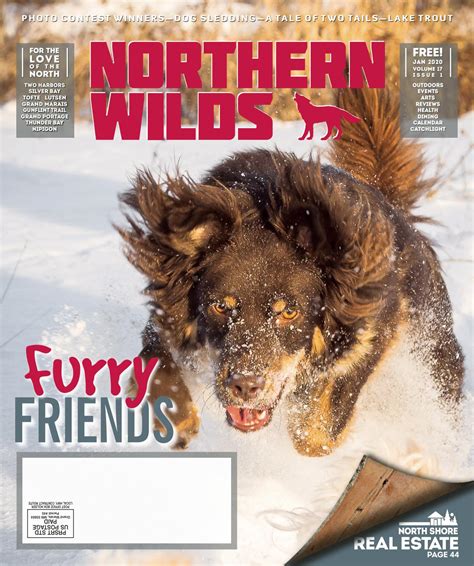 Northern Wilds January 2020 By Northern Wilds Magazine Issuu