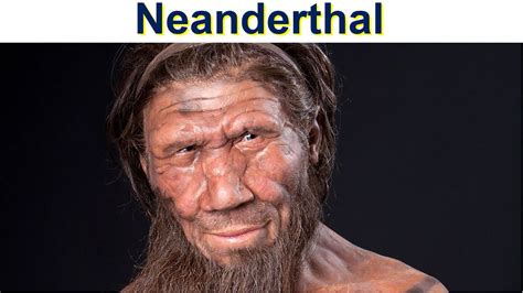 Neanderthals And Modern Humans Mated 100000 Years Ago Market Business