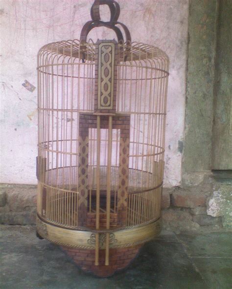 It is found in the indian subcontinent. Harga Sangkar Burung Anis Kembang - Jual Online