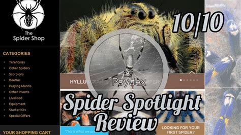 The Spider Spotlight Uk Review Youtube
