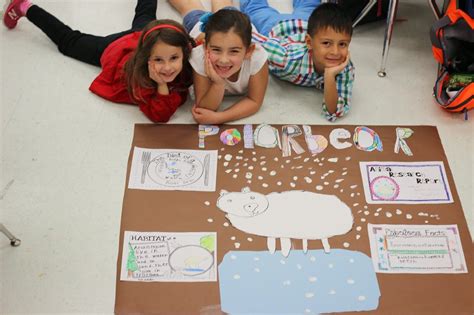 Animal Research Project Project Based Learning Kindergarten
