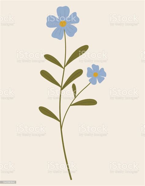 Vintage Illustration Of Blue Wild Flower Medicinal Herb Branch With