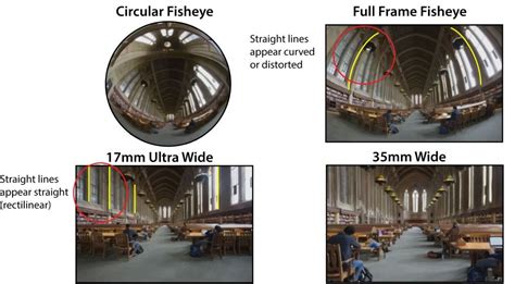 Fisheye Lenses Lens Distortion Perspective Drawing Fish Eye Lens