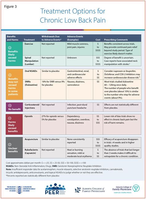 Peer Simplified Decision Aid Chronic Back Pain Treatment Options In