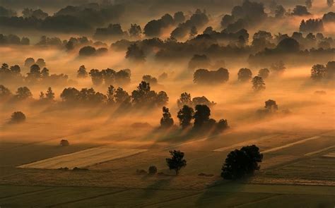 online crop green field nature landscape mist trees hd wallpaper wallpaper flare