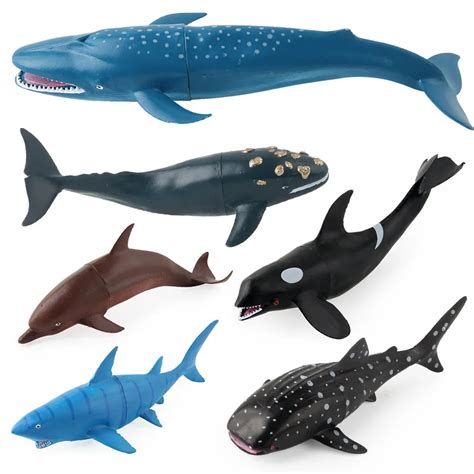 Orca Whales Dolphins Sharks