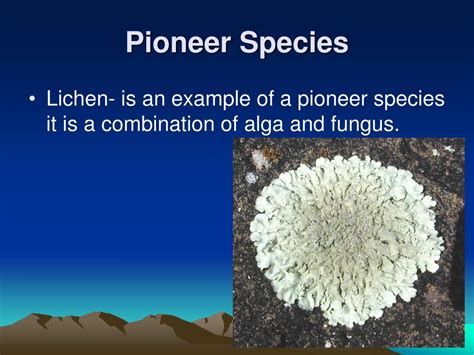 Ppt Communities And Biomes Powerpoint Presentation Free Download Id