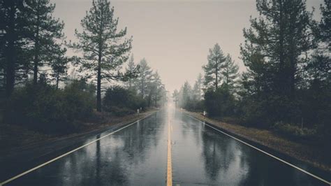 Free Download Rainy Forest Road Wallpaper 7226 1920x1080 For Your