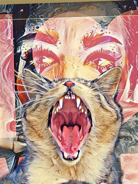 Cats Meow Digital Art By Angelica Ybarra Pixels