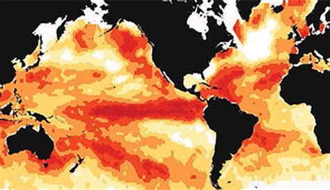 Study Says Marine Heat Waves Are Spreading Like Wildfires