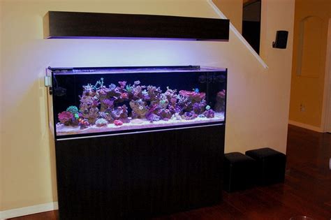 It also won the 2010 bafta for best british film. 1 of 4. SEE PROFILE FOR ADDITIONAL IMAGES | Reef tank ...