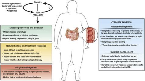 management of inflammatory bowel diseases in special populations obese old or obstetric
