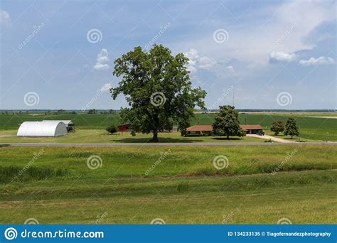 View Of A Farm In A Rural Area Of The State Of Mississippi Near The