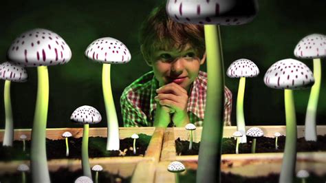 Giant Mushrooms By Erin Hill Official Music Video On Vimeo