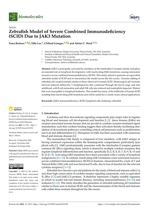 Pdf Zebrafish Model Of Severe Combined Immunodeficiency Scid Due To