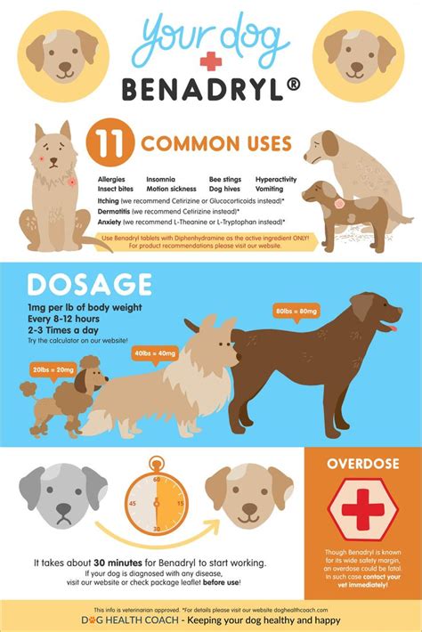 Dogs And Benadryl Dog Allergies Dog Benadryl Dog Remedies