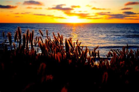 Ocean Beach Sunset Photograph By Arturo Pena Fine Art America