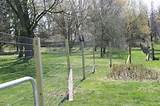 Images of Welded Wire Fence Posts