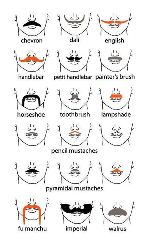 Pin By Iván Ramiro Páramo On Early 1900s Types Of Mustaches Moustache Style Mustache Styles
