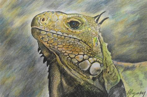 Colored pencil nature, wildlife, animal and bird art. Look at this amazing lizard in coloured pencils by Jane ...