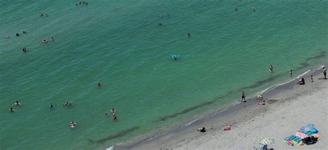 Red Tide Lingering Off Beaches Near Venice Points North The