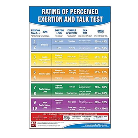 Buy IRON COMPANY Productive Fitness Laminated Fitness Poster Rating Of Perceived Exertion And