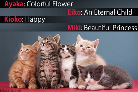 These cute cat names top the charts (find unique options, too). Kawaii Neko: 100 Cute Japanese Cat Names With Their ...