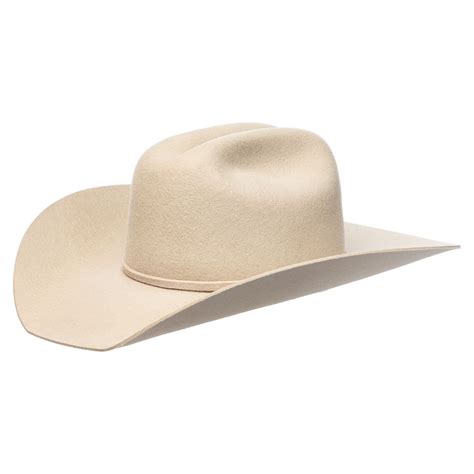 Schneiders Low Rider 3x Felt Cowboy Hat Tan In Cowboy Hats Carriers