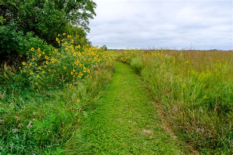 Example of tallgrass prairie at Homestead National Monument | Tom Dills ...