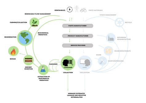 The Circular Economy Basics Series The Biological Cycle