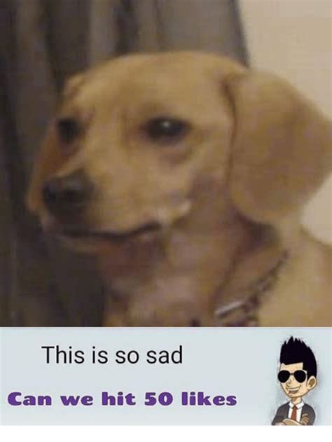 Doggo This Is So Sad Know Your Meme