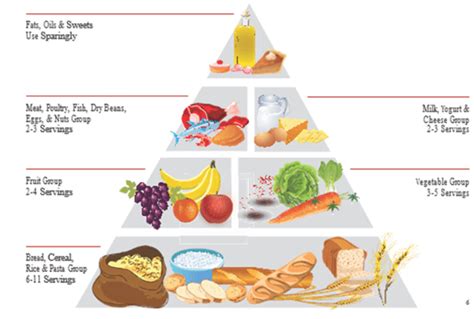 Food Pyramid Guts Uk
