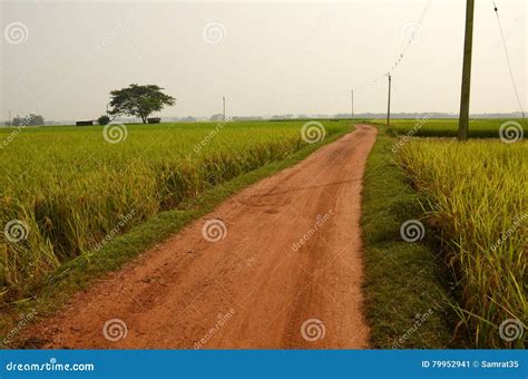 Village Path Stock Image Image Of Soil Indian Remote 79952941