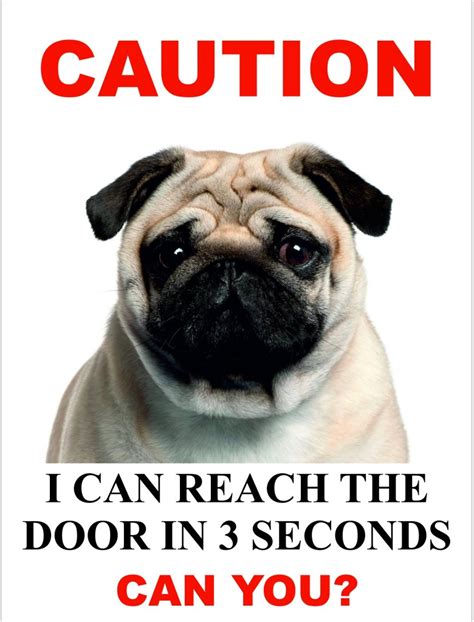 Pug Dog Signs Available In 4 Styles Ebay