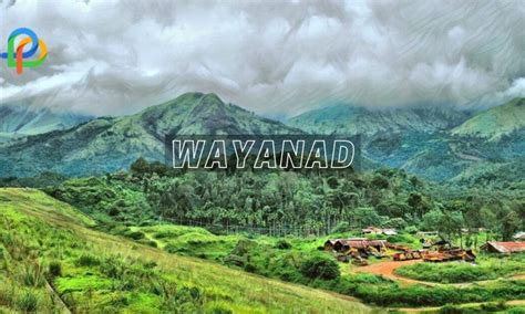 Wayanad Explore The Ooty Of Kerala Top Attractions