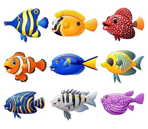 Premium Vector Fish Cartoon Set