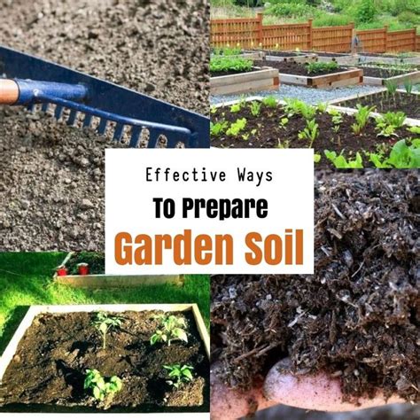 How To Prepare Soil For Gardening 101 Gardening Ideas Garden Soil
