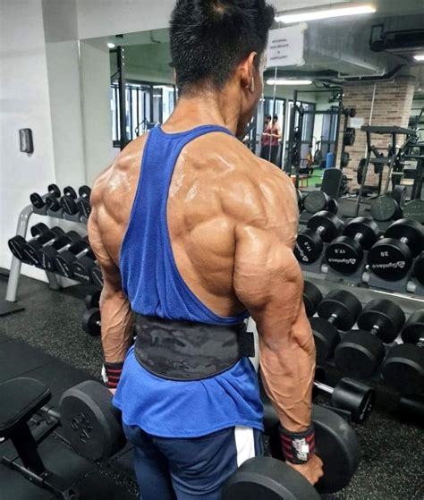 musclemania musclemania® pro muhammad aidil aidil