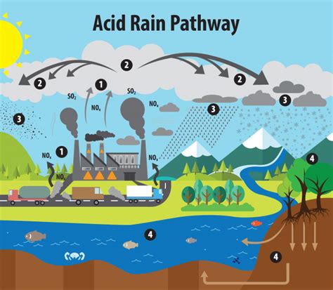 What Is Acid Rain Us Epa