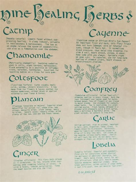 9 Healing Herbs Poster Healing Herbs Herbal Magic Herbalism