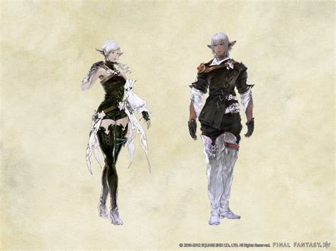 Elezen Final Fantasy A Realm Reborn Wiki Fandom Powered By Wikia