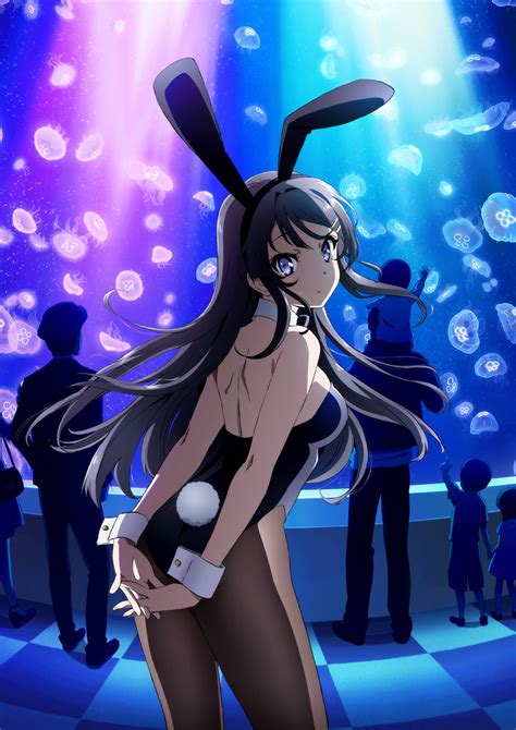 Seishun Buta Yarou Wa Bunny Girl Senpai No Yume Wo Minai Image 2378715 Zerochan Anime Image Board