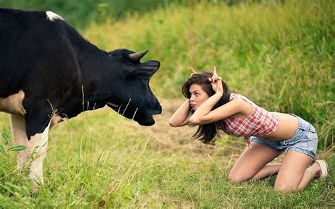 Cowgirl Facing Girl Horns Cow Hd Wallpaper Peakpx