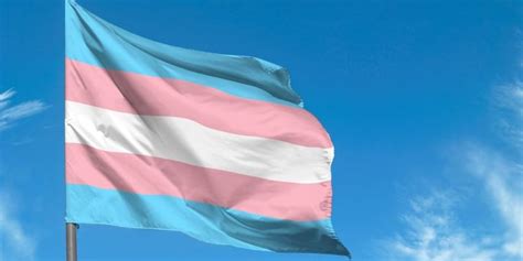 Transexual Qué Es Concepto Historia Y Disforia De Género