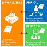Pictures of Microsoft Cal License